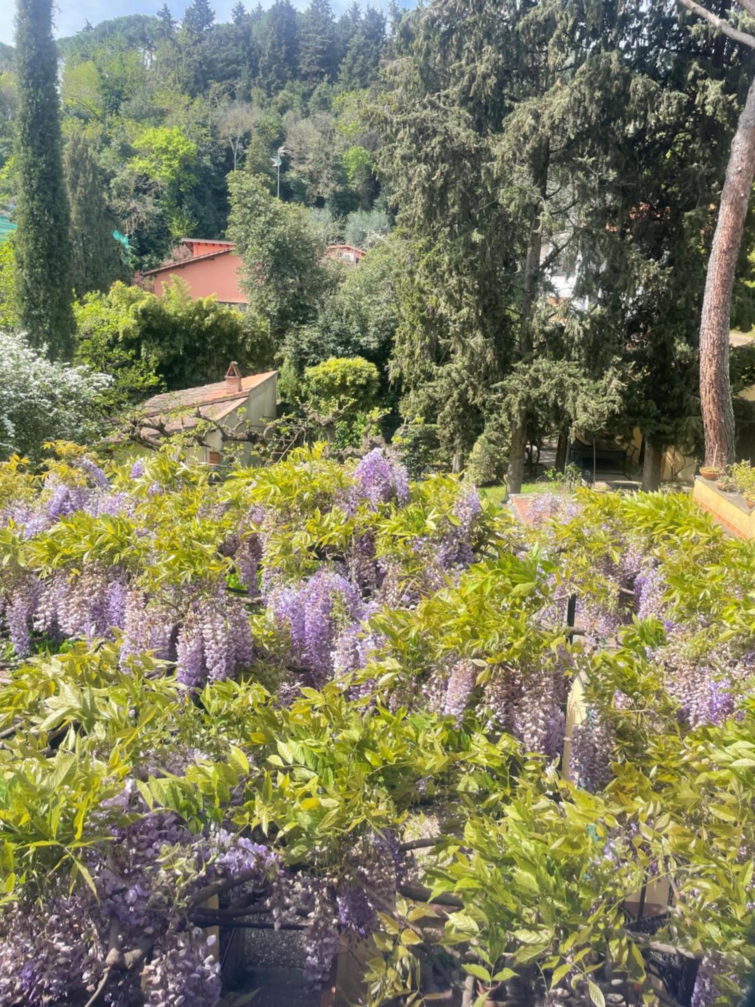 Hotel Albero Mago à Florence Extérieur photo